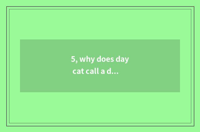 5, why does day cat call a day the cat?