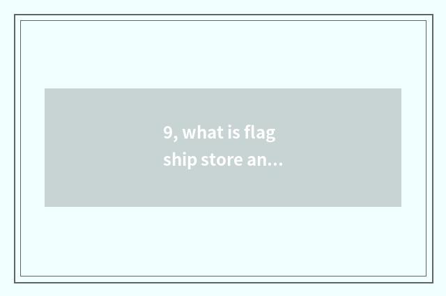 9, what is flagship store and official flagship store?