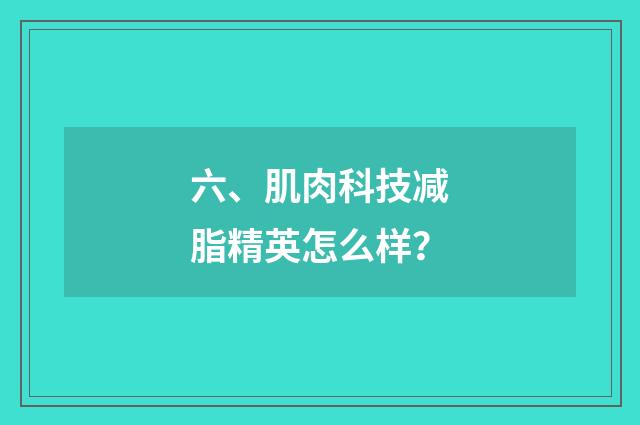 六、肌肉科技减脂精英怎么样?