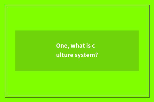 One, what is culture system?