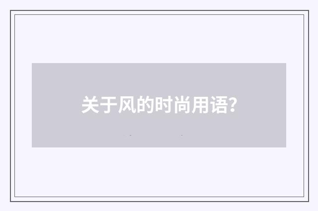 关于风的时尚用语?