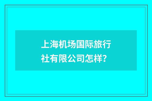 上海机场国际旅行社有限公司怎样?