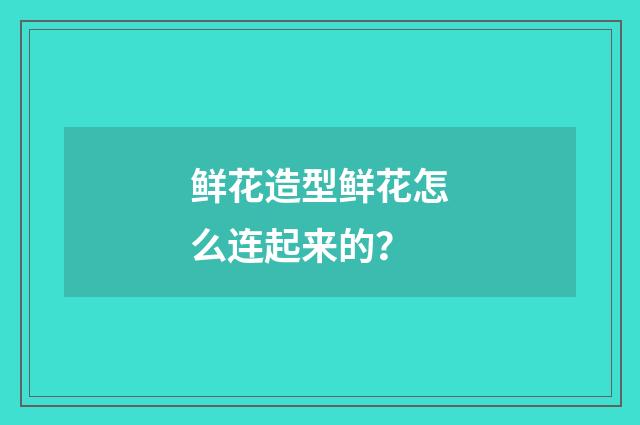鲜花造型鲜花怎么连起来的？