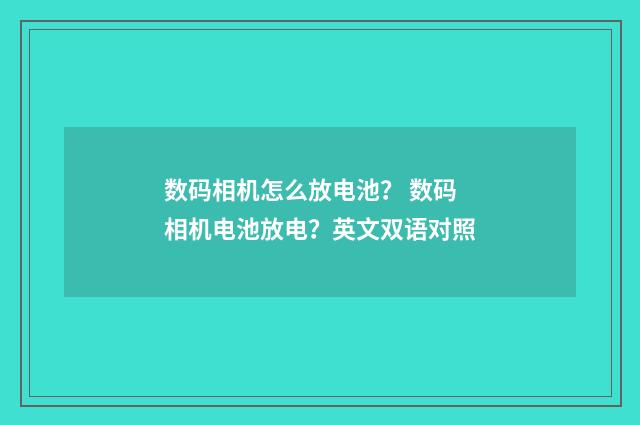 数码相机怎么放电池? 数码相机电池放电?英文双语对照