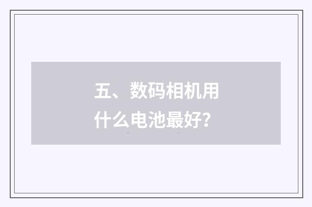 五、数码相机用什么电池最好?