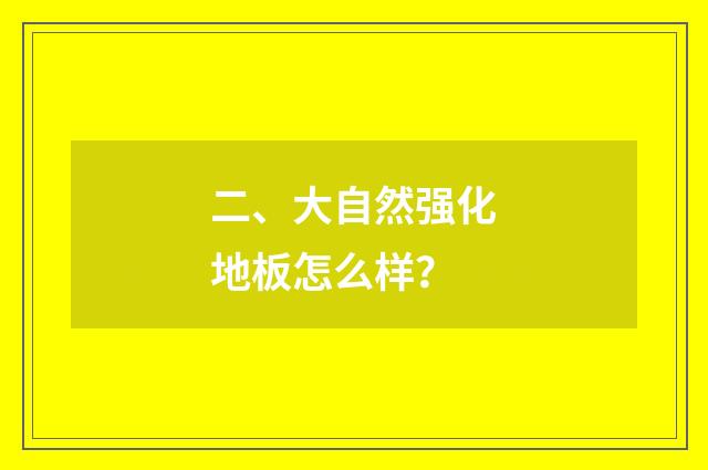 二、大自然强化地板怎么样？