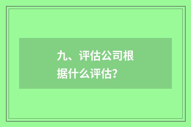 九、评估公司根据什么评估？