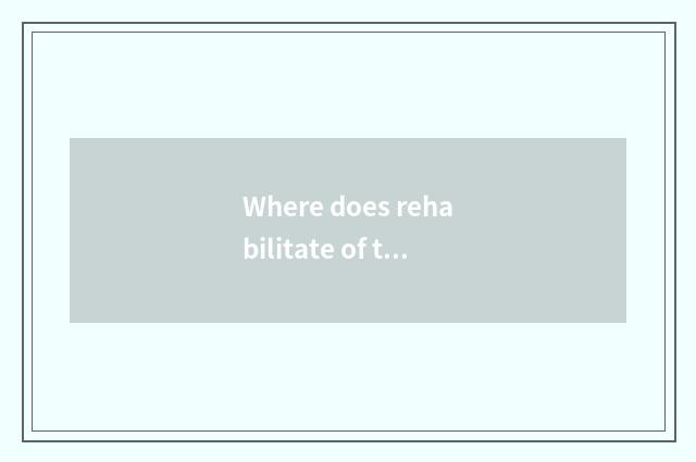 Where does rehabilitate of tub of Chengdu car steel go to?