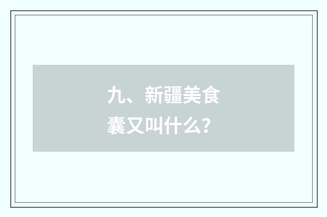 九、新疆美食囊又叫什么?