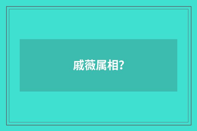 戚薇属相?