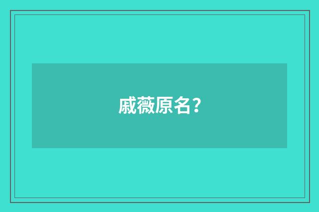 戚薇原名？