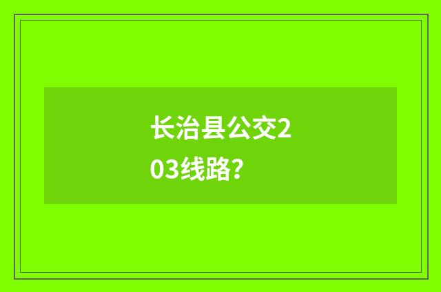 长治县公交203线路?