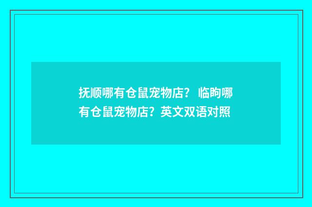 抚顺哪有仓鼠宠物店？ 临眗哪有仓鼠宠物店？英文双语对照
