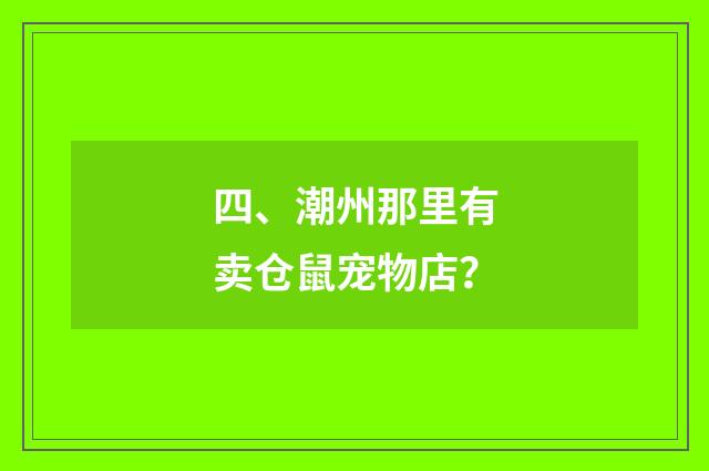 四、潮州那里有卖仓鼠宠物店？
