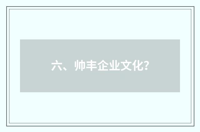 六、帅丰企业文化?