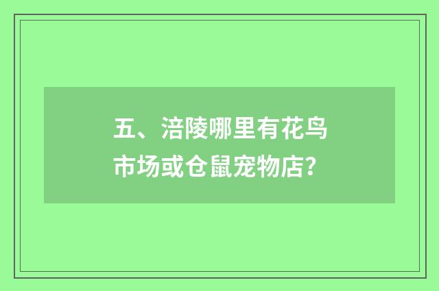 五、涪陵哪里有花鸟市场或仓鼠宠物店?