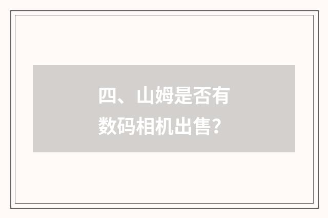 四、山姆是否有数码相机出售？