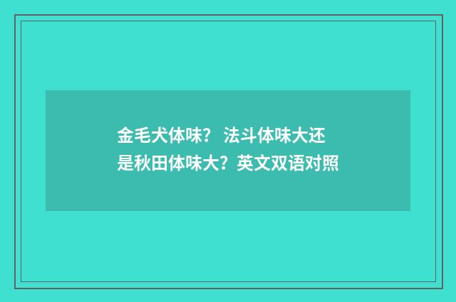 金毛犬体味? 法斗体味大还是秋田体味大?英文双语对照