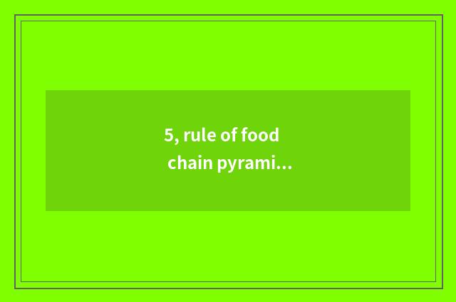5, rule of food chain pyramid?