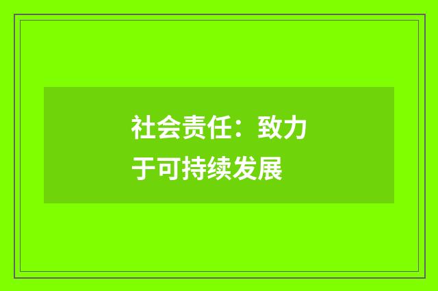 社会责任:致力于可持续发展