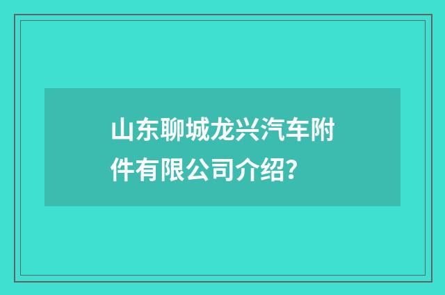 山东聊城龙兴汽车附件有限公司介绍？