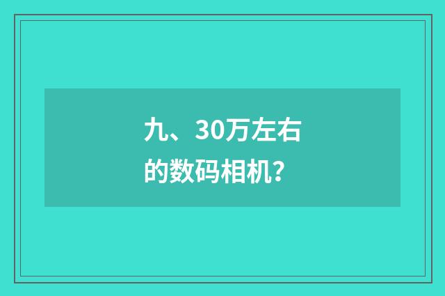 九、30万左右的数码相机？