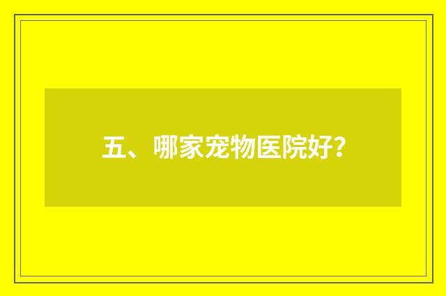 五、哪家宠物医院好?