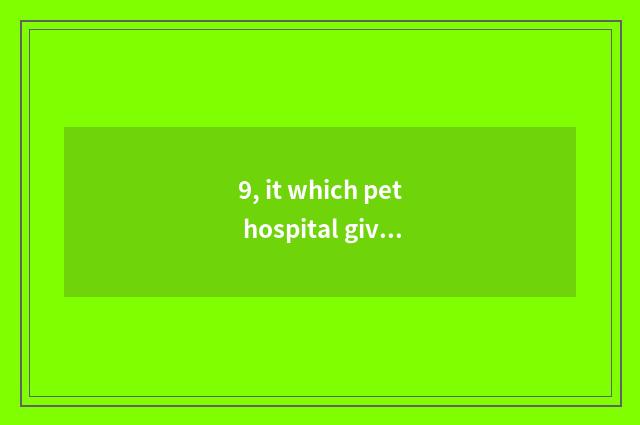 9, it which pet hospital gives Hefei operation of Yo of feline leave no room for