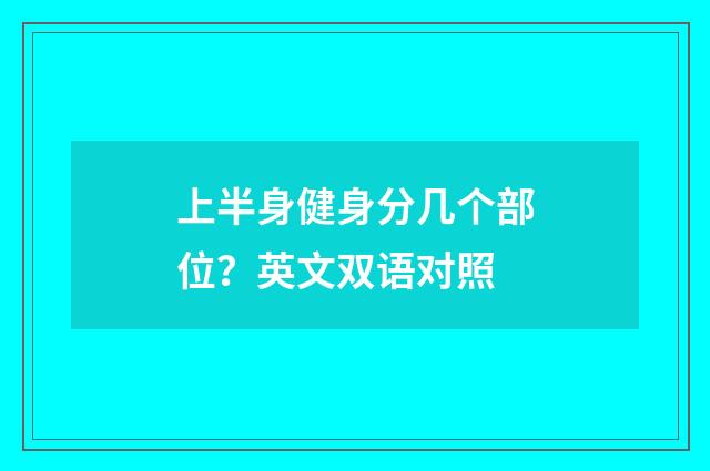 上半身健身分几个部位?英文双语对照
