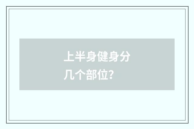 上半身健身分几个部位?