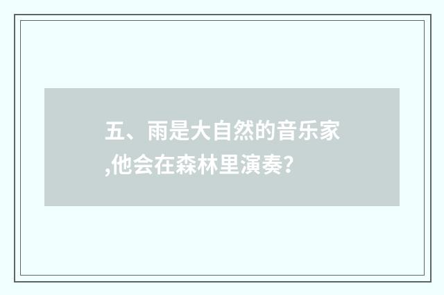 五、雨是大自然的音乐家,他会在森林里演奏？