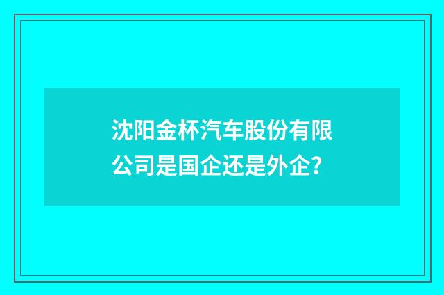 沈阳金杯汽车股份有限公司是国企还是外企？