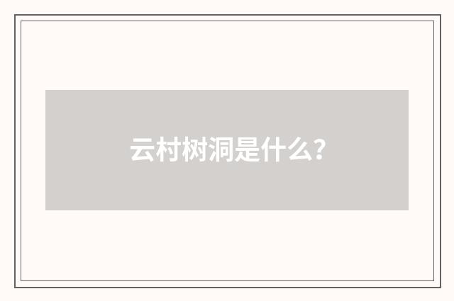 云村树洞是什么?