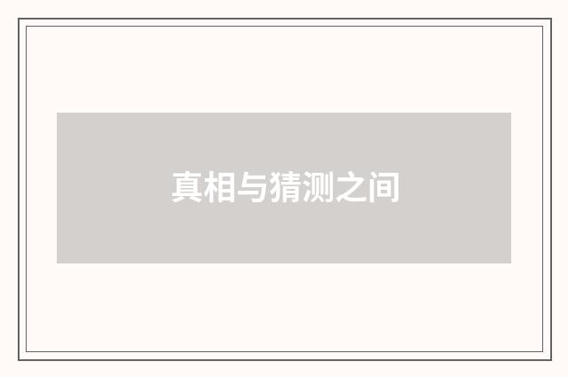 真相与猜测之间