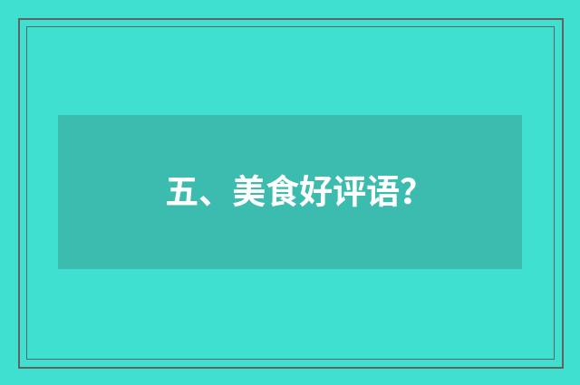 五、美食好评语？