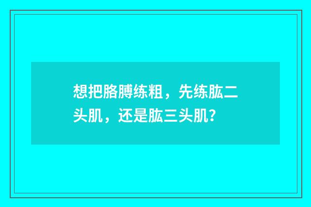 想把胳膊练粗,先练肱二头肌,还是肱三头肌?