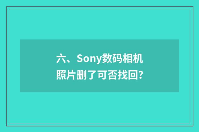六、Sony数码相机照片删了可否找回？