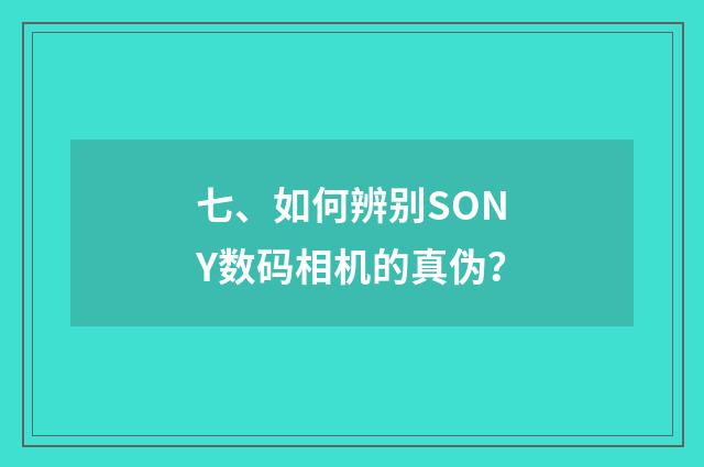 七、如何辨别SONY数码相机的真伪?