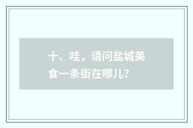 十、哇，请问盐城美食一条街在哪儿？