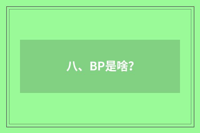 八、BP是啥?