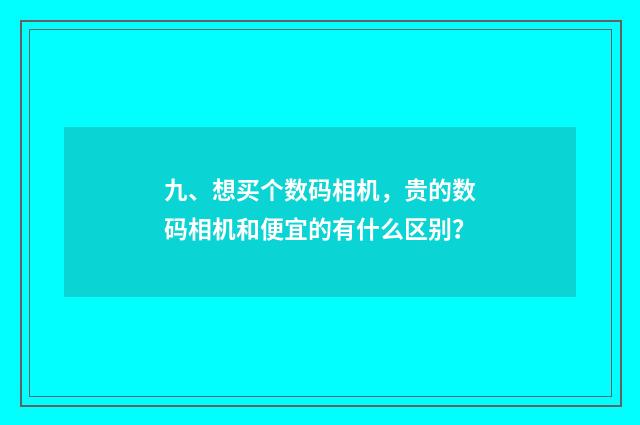 九、想买个数码相机，贵的数码相机和便宜的有什么区别？