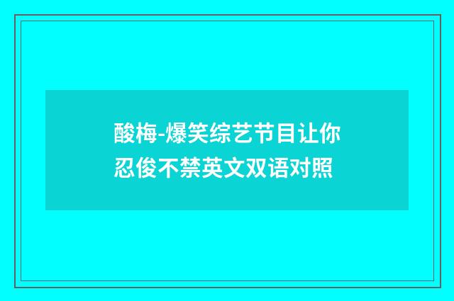 酸梅-爆笑综艺节目让你忍俊不禁英文双语对照