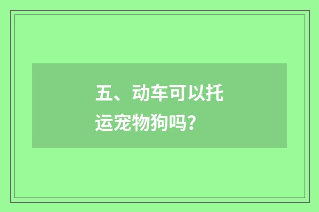 五、动车可以托运宠物狗吗?