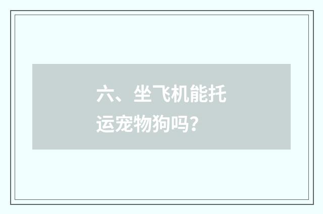 六、坐飞机能托运宠物狗吗?