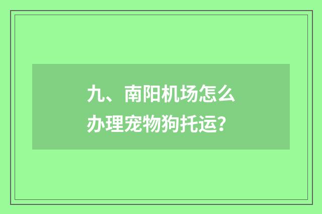 九、南阳机场怎么办理宠物狗托运?