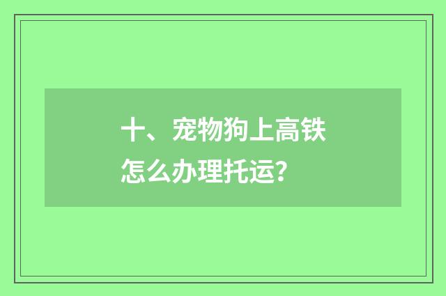 十、宠物狗上高铁怎么办理托运？