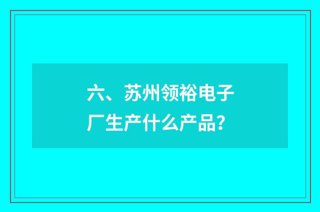六、苏州领裕电子厂生产什么产品？