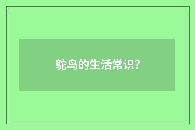 鸵鸟的生活常识？