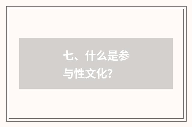 七、什么是参与性文化？