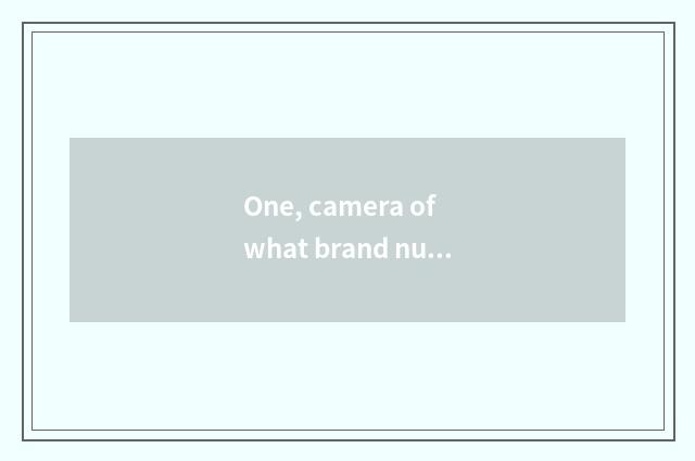 One, camera of what brand number is Fujifilm?
